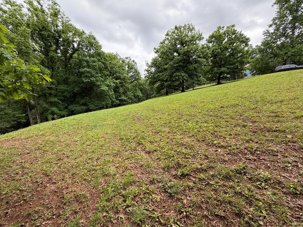 Lot 17 Drake Ridge Lane, Hayesville NC 28904 - Photo