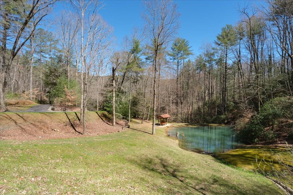 Lot 46 Utana Bluffs Trail, Ellijay GA 30540 - Photo