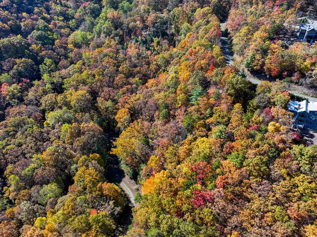 Lot 46 Utana Bluffs Trail, Ellijay GA 30540 - Photo
