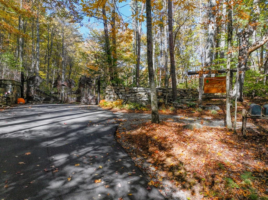 Lot 46 Utana Bluffs Trail, Ellijay GA 30540 - Photo