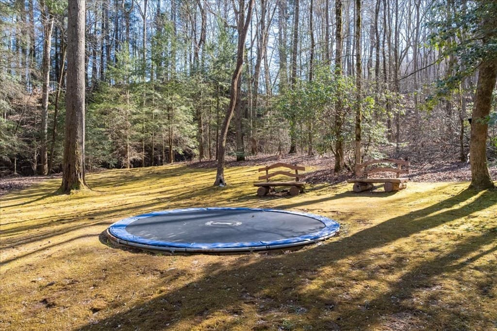 Lot 46 Utana Bluffs Trail, Ellijay GA 30540 - Photo