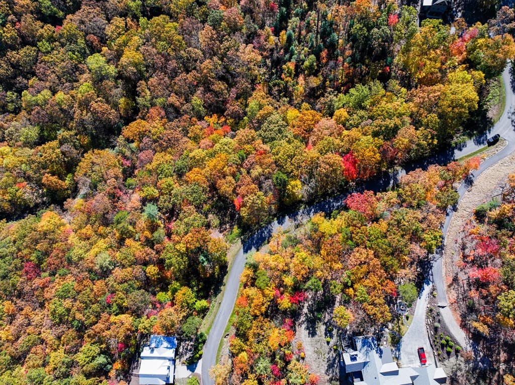 Lot 46 Utana Bluffs Trail, Ellijay GA 30540 - Photo