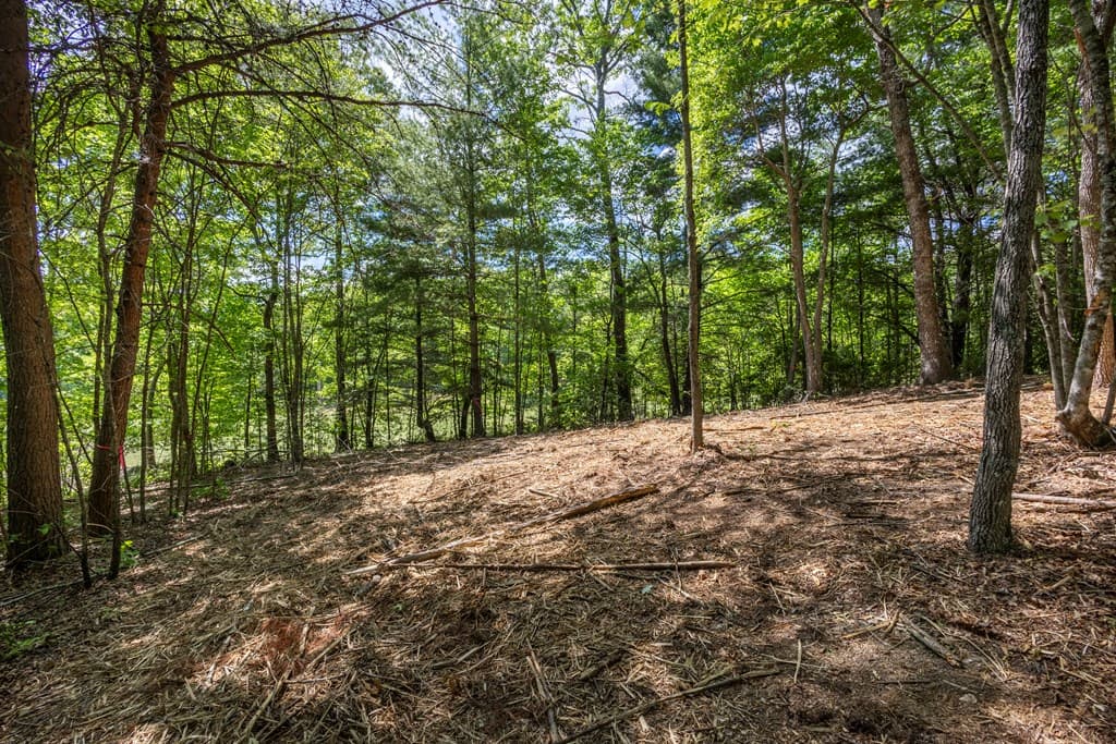 4.2 acre Donley Road, Murphy NC 28906 - Photo