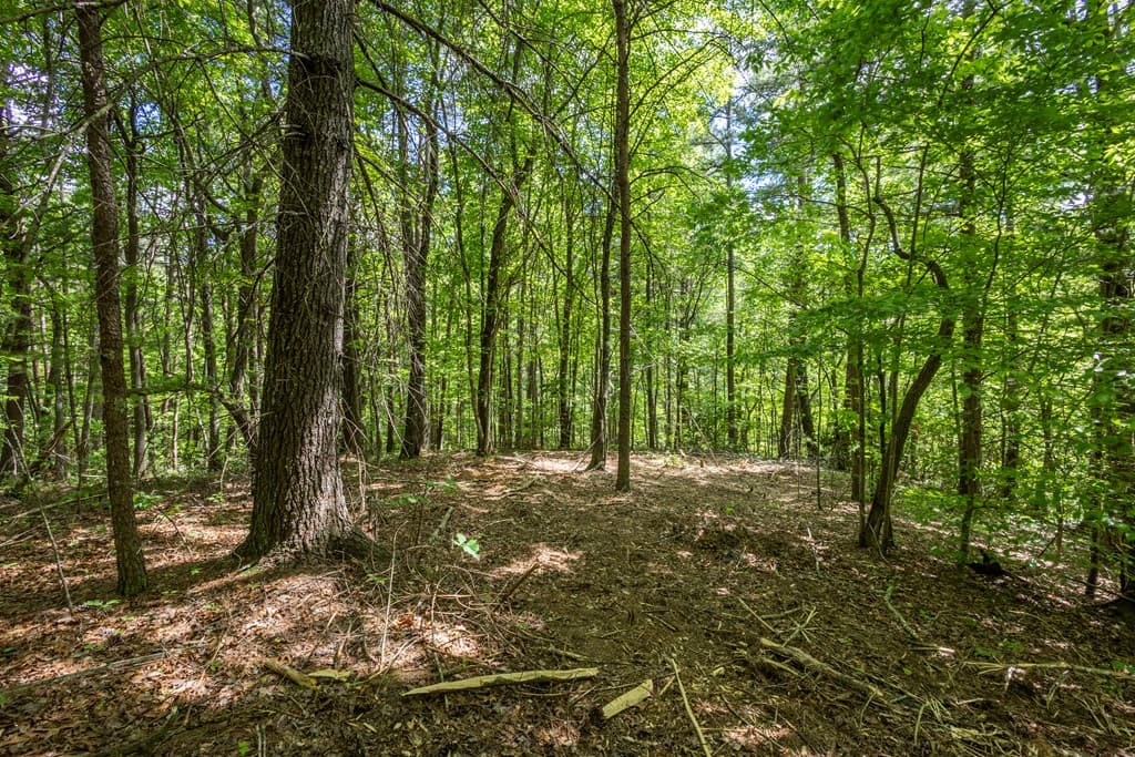 20 Ac Pack Mountain Road, Murphy NC 28906 - Photo