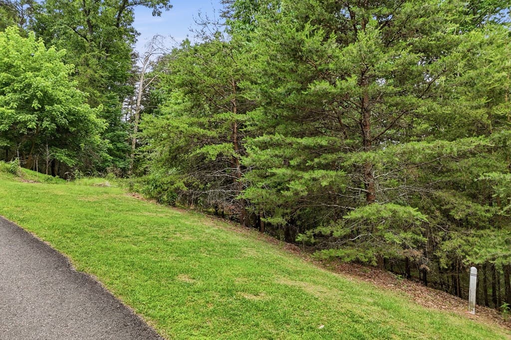 0 Owl Ridge Way, Jasper GA 30143 - Photo