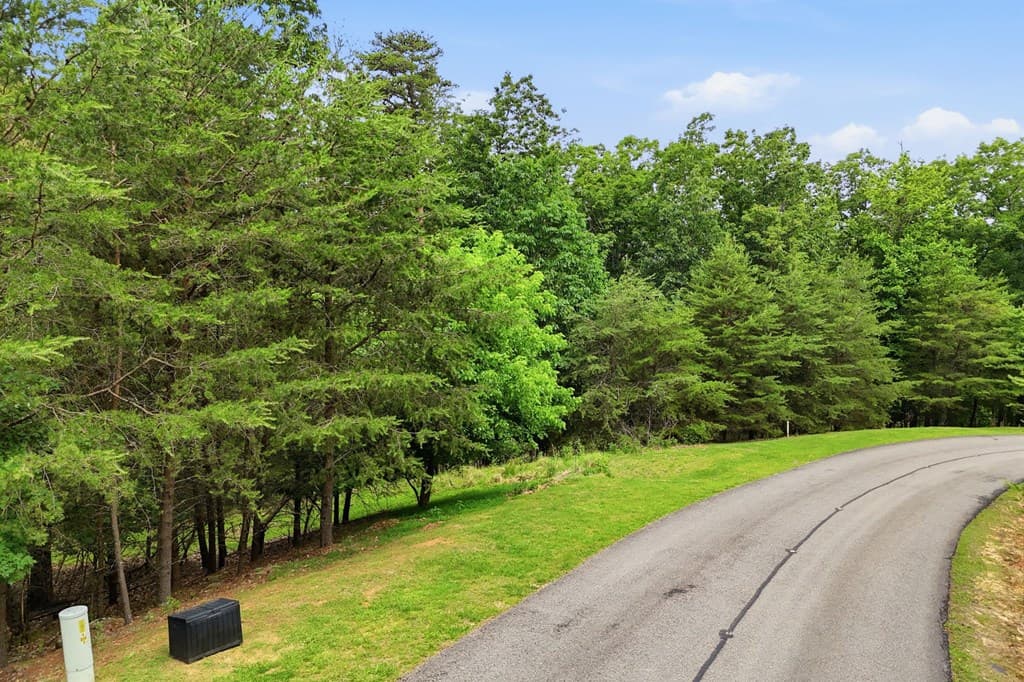 0 Owl Ridge Way, Jasper GA 30143 - Photo