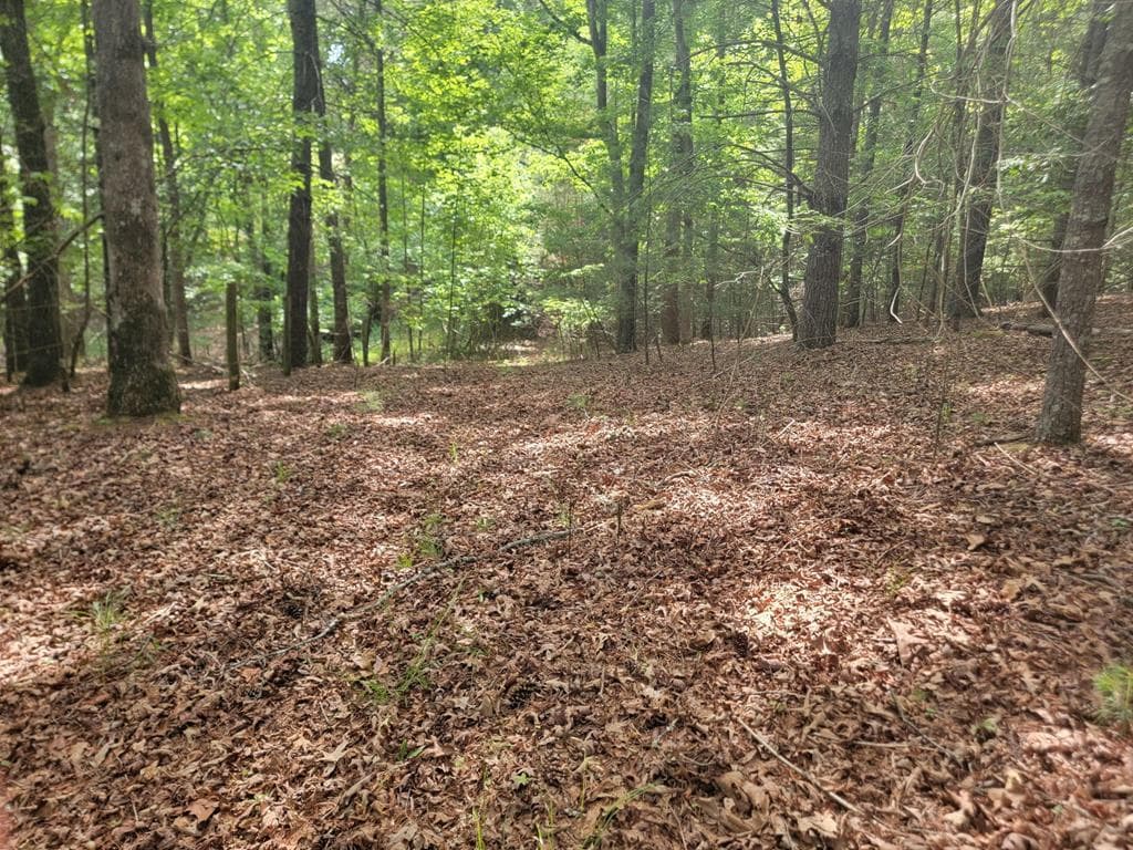 Lot 44 Sugar Maple Lane, Murphy NC 28906 - Primary photo