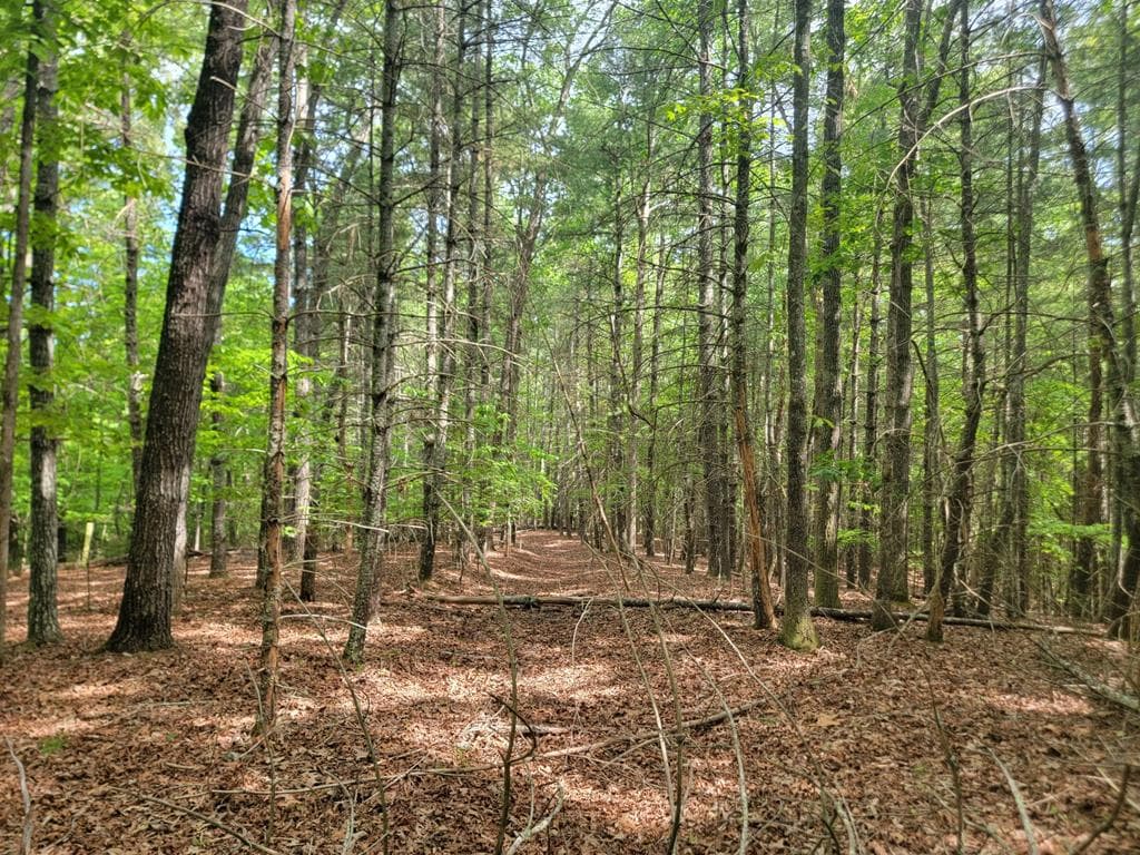 Lot 44 Sugar Maple Lane, Murphy NC 28906 - Photo