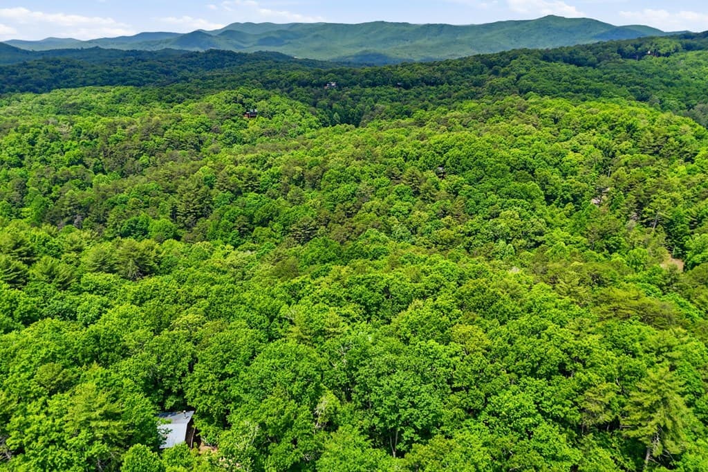 156 Dupont Drive, Blue Ridge GA 30513 - Photo