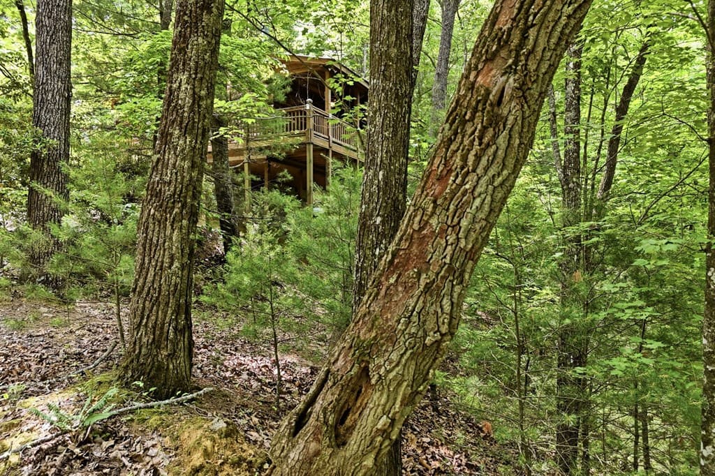 156 Dupont Drive, Blue Ridge GA 30513 - Photo