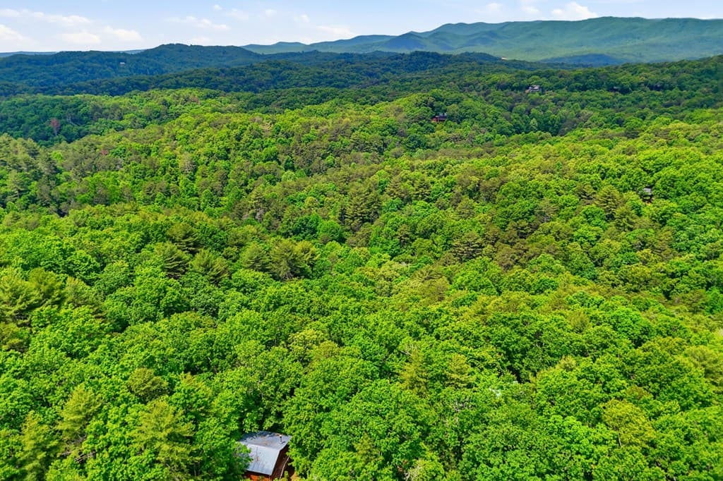 156 Dupont Drive, Blue Ridge GA 30513 - Photo