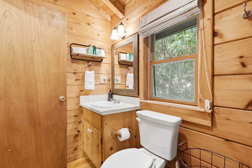 37 Dean Court, Blue Ridge GA 30513 - Photo
