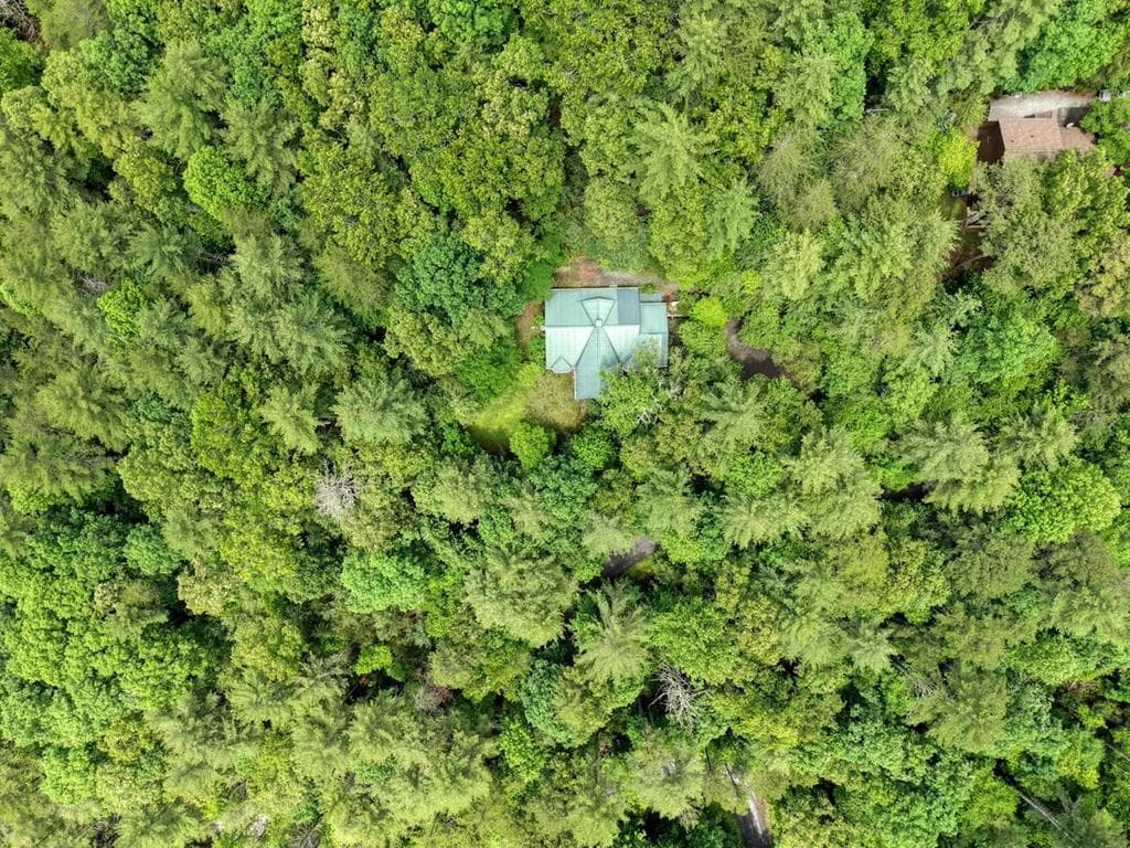 61 Amelia Lane, Blue Ridge GA 30513 - Photo