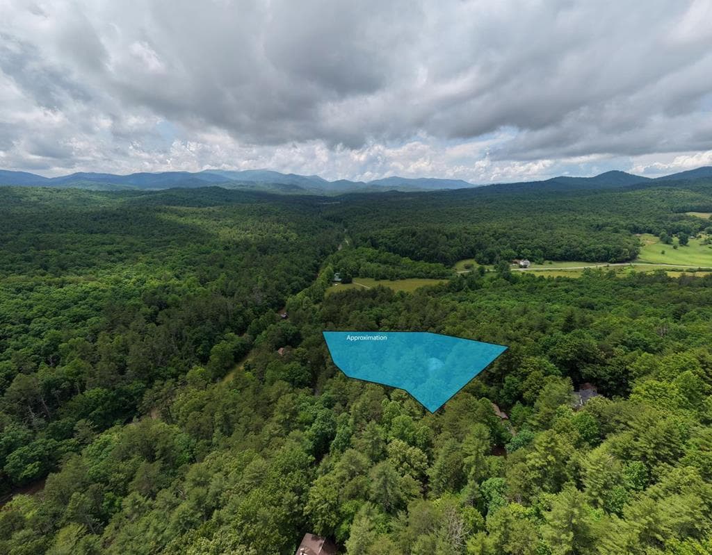61 Amelia Lane, Blue Ridge GA 30513 - Photo