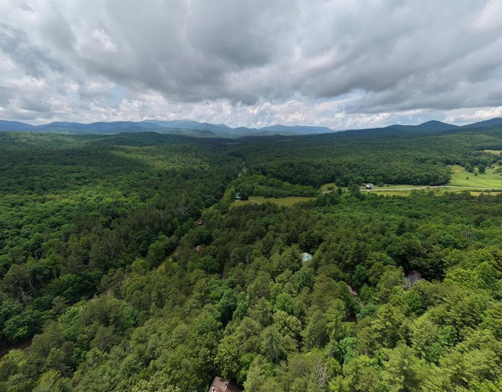 61 Amelia Lane, Blue Ridge GA 30513 - Photo