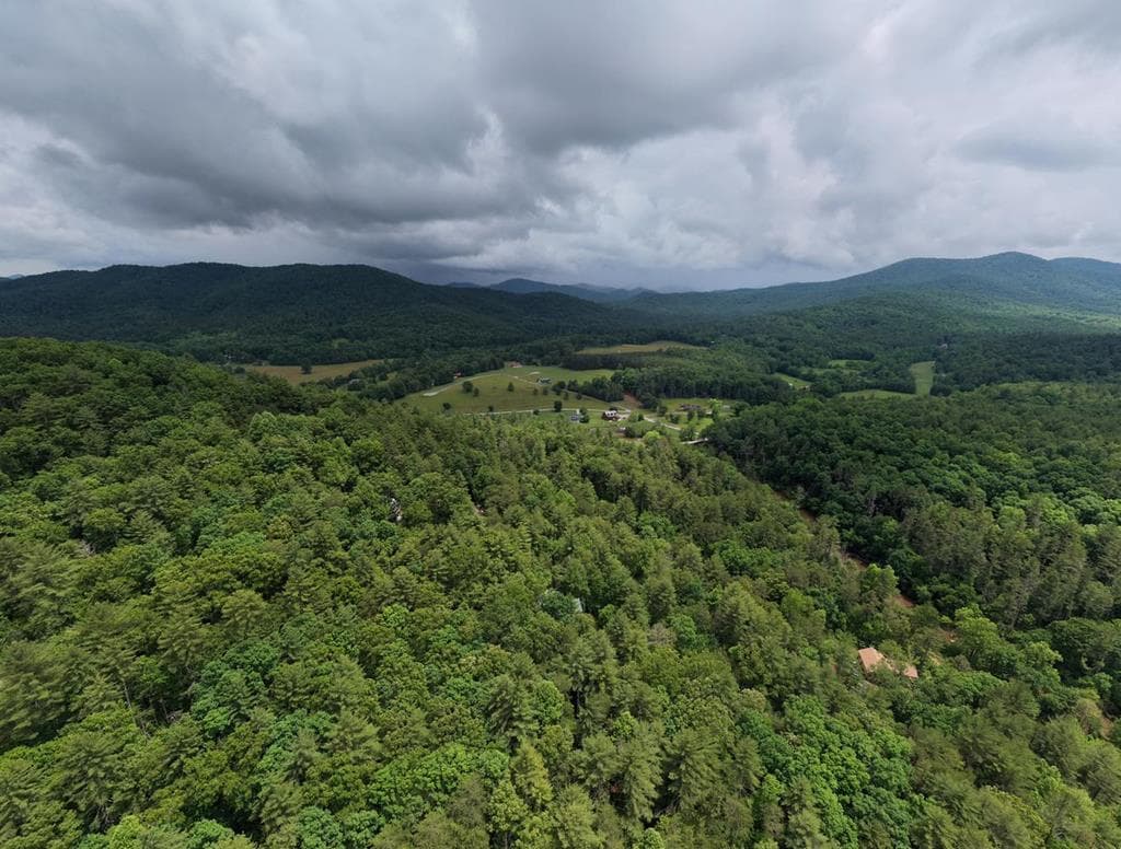 61 Amelia Lane, Blue Ridge GA 30513 - Photo