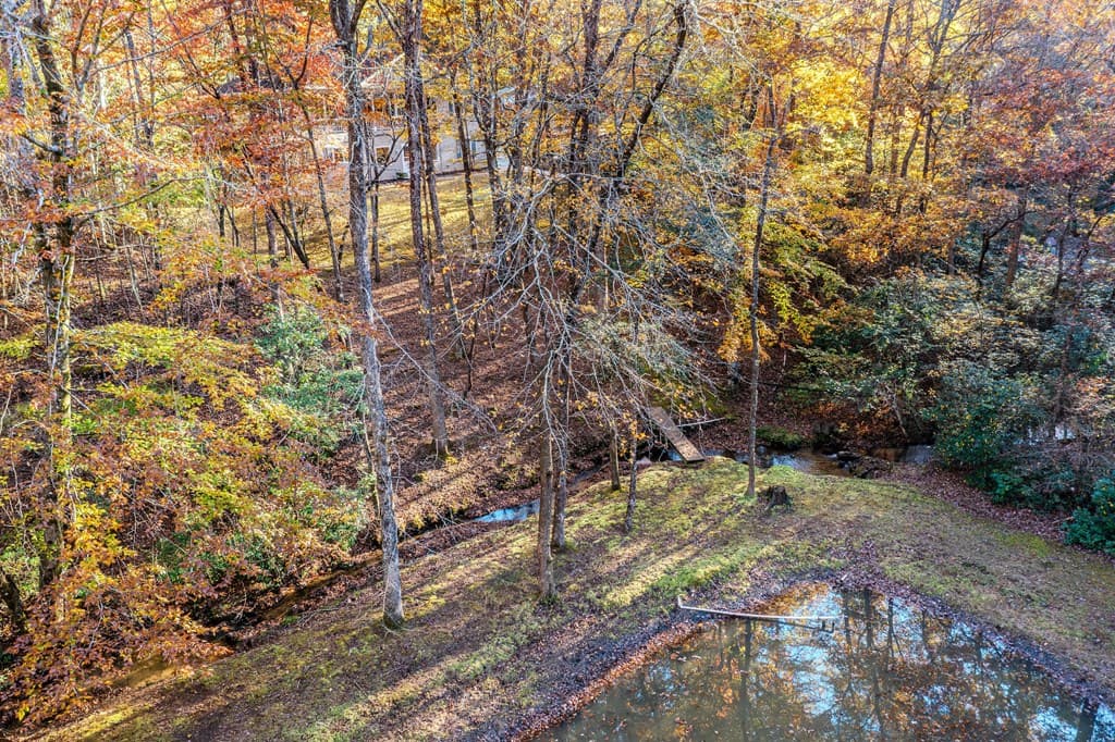 339 Wehunt Road, Blue Ridge GA 30513 - Photo