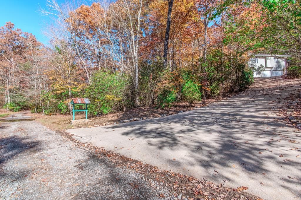 339 Wehunt Road, Blue Ridge GA 30513 - Photo