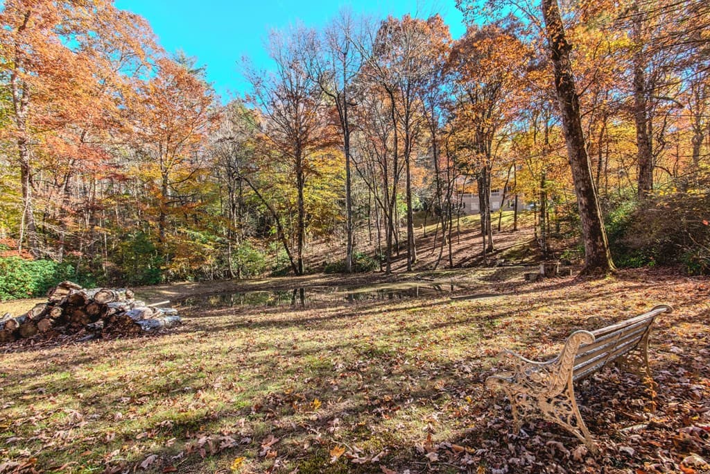 339 Wehunt Road, Blue Ridge GA 30513 - Photo