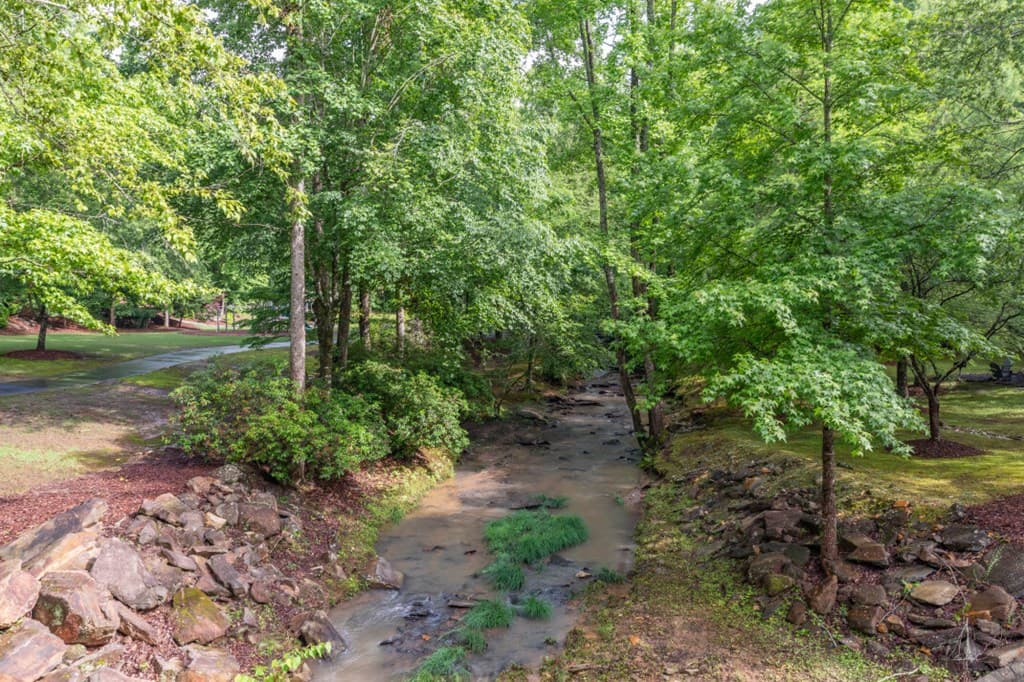 Lot 150 Tranquility @ Carters Lake, Ellijay GA 30540 - Photo