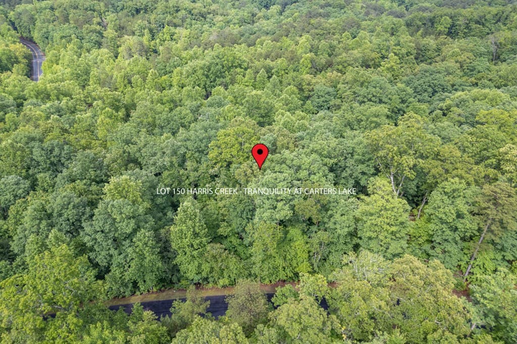 Lot 150 Tranquility @ Carters Lake, Ellijay GA 30540 - Photo