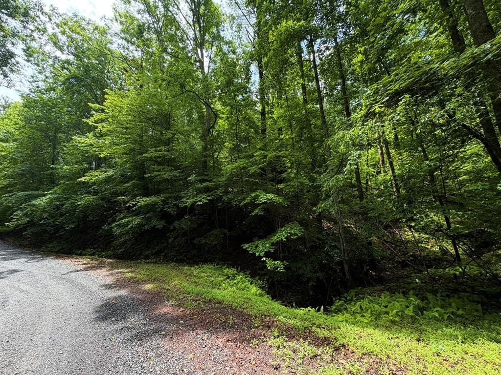 LT 144 Alcan Way, Ellijay GA 30450 - Photo