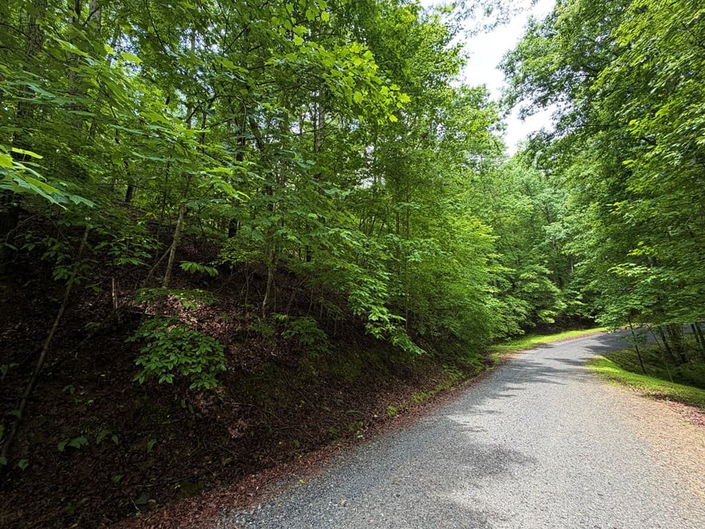 LT 144 Alcan Way, Ellijay GA 30450 - Photo