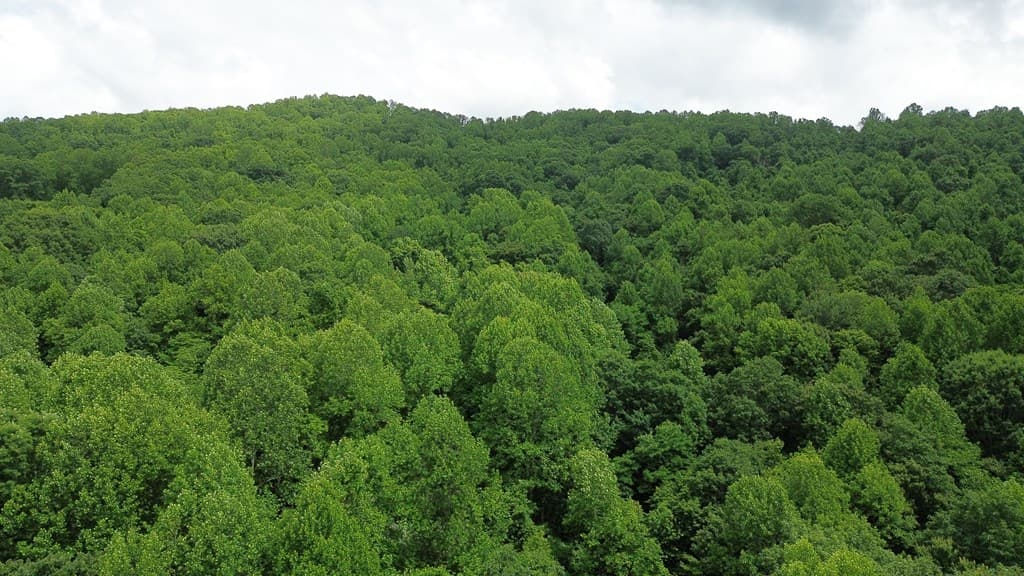 115 Calvender Road, Turtletown TN 37391 - Photo
