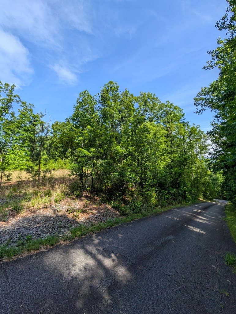 TR 2 Falcon Overlook, Hayesville NC 28904 - Photo