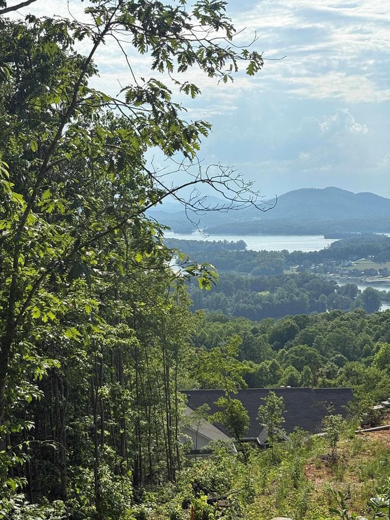 Lot 46 Dan Knob (Lot), Hayesville NC 28904 - Photo