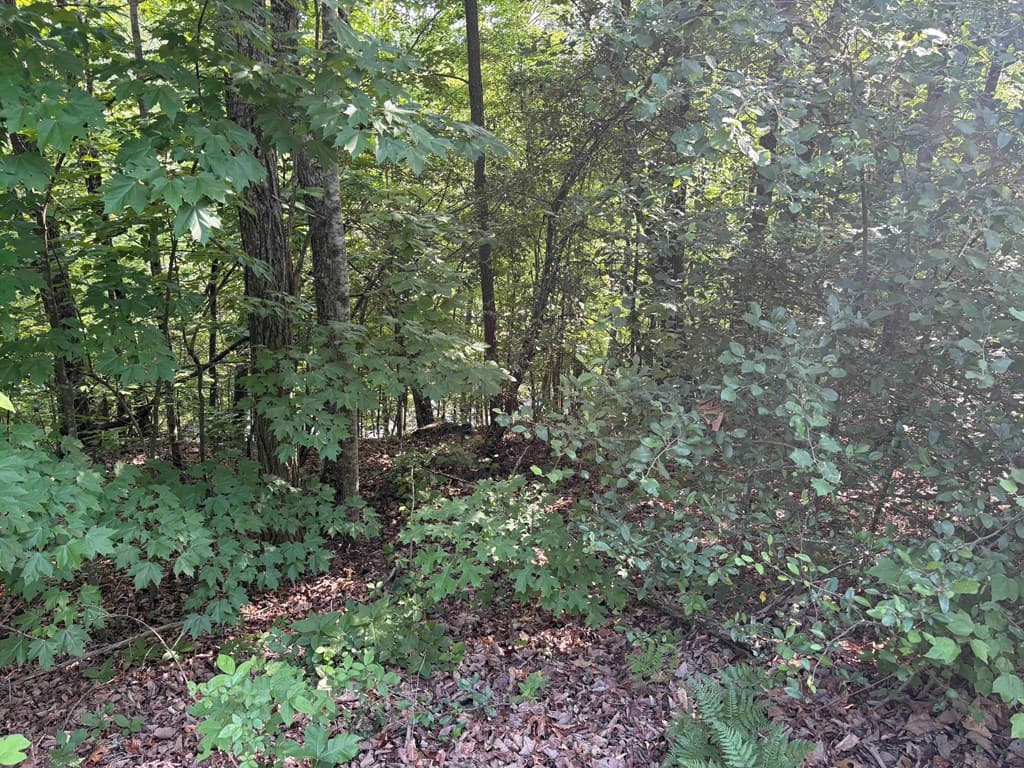 Lot 46 Dan Knob (Lot), Hayesville NC 28904 - Photo