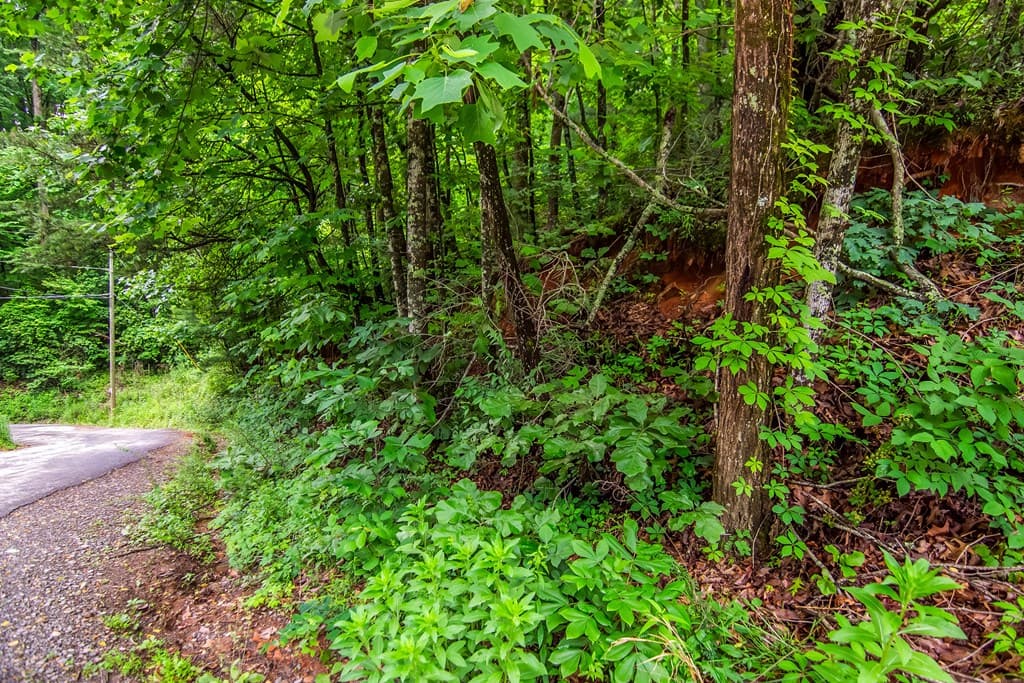5.58 Gobbler Knob Drive, Ellijay GA 30540 - Photo