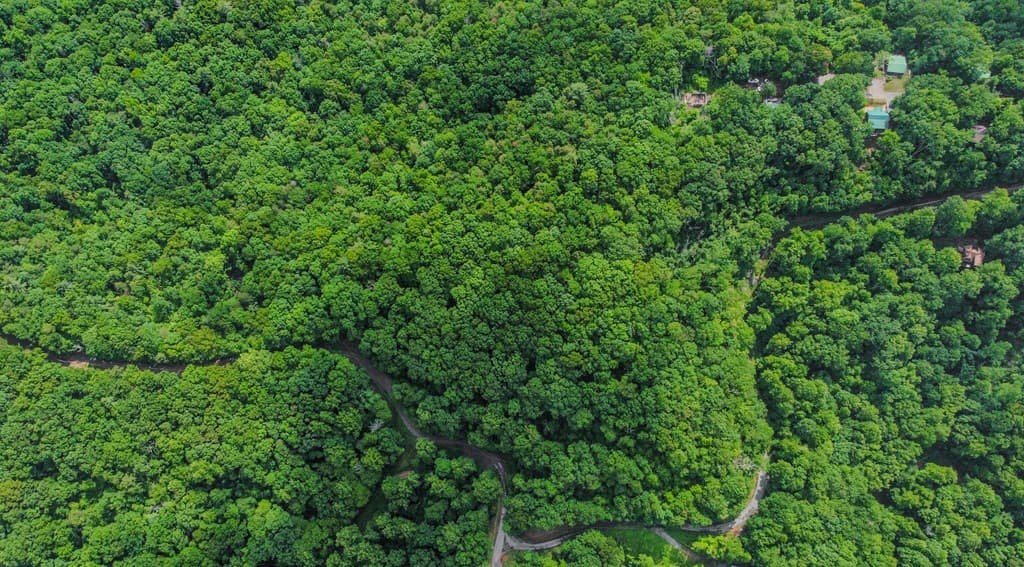 5.58 Gobbler Knob Drive, Ellijay GA 30540 - Photo