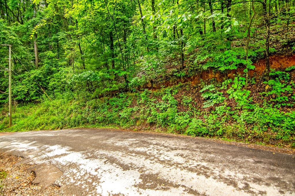 5.58 Gobbler Knob Drive, Ellijay GA 30540 - Photo