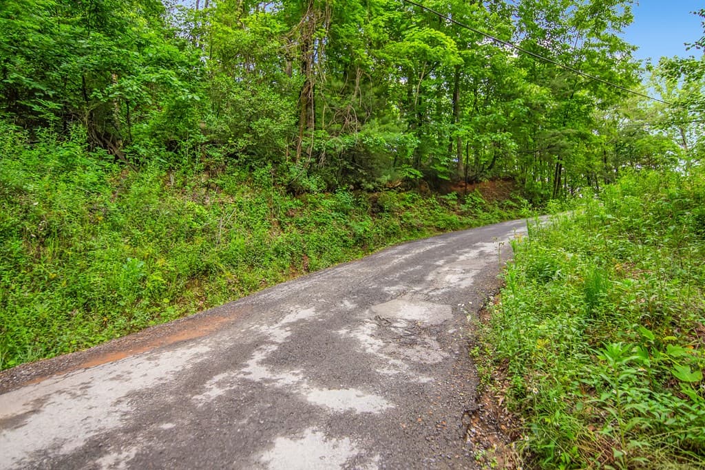 5.58 Gobbler Knob Drive, Ellijay GA 30540 - Photo