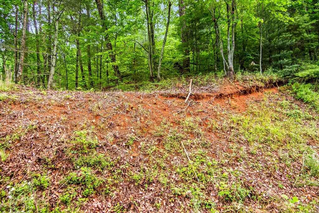 5.58 Gobbler Knob Drive, Ellijay GA 30540 - Photo