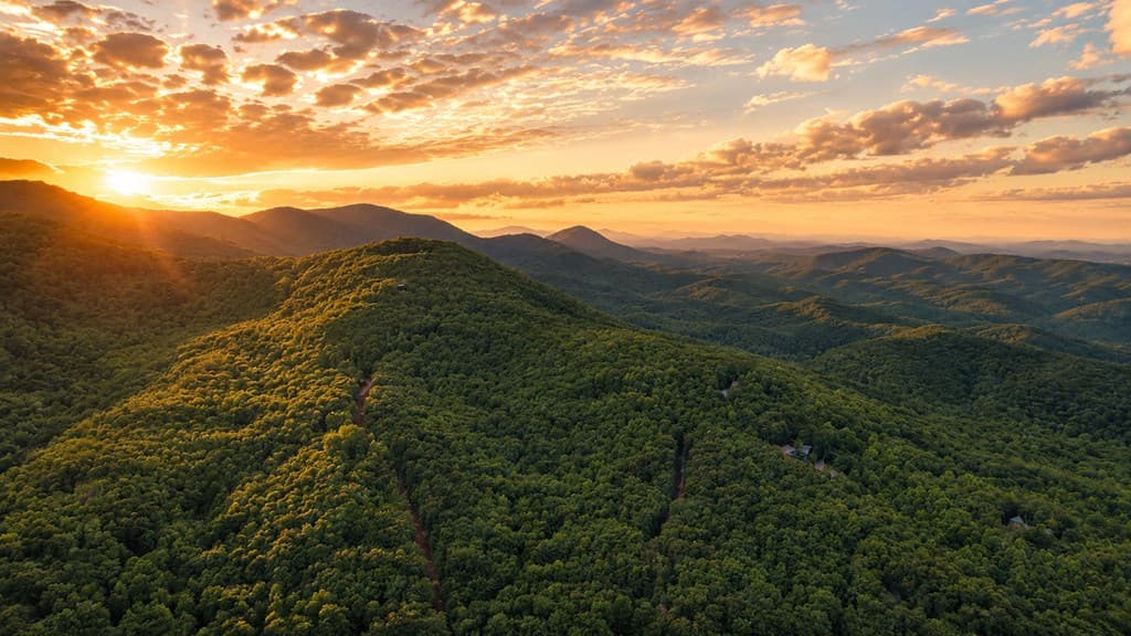 5.58 Gobbler Knob Drive, Ellijay GA 30540 - Photo