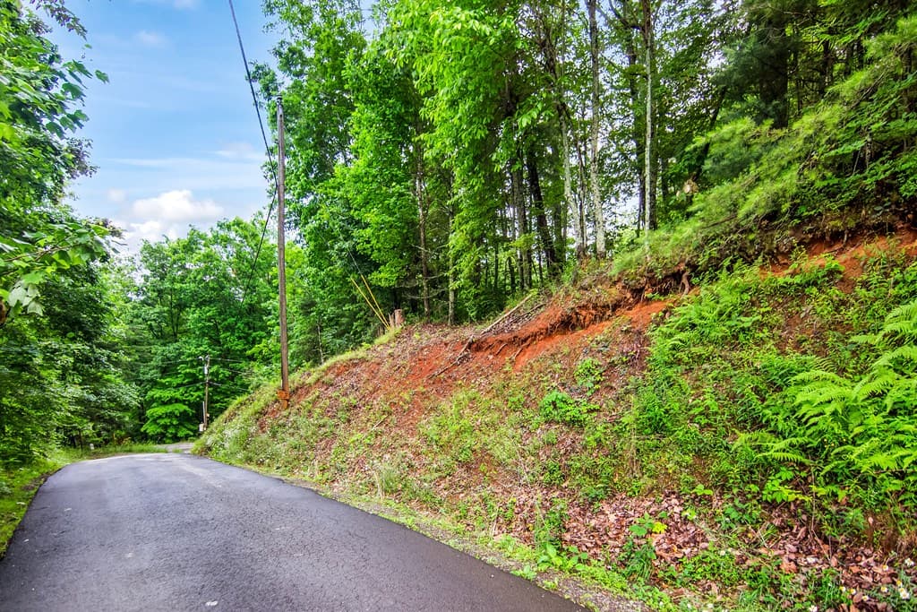 5.58 Gobbler Knob Drive, Ellijay GA 30540 - Photo