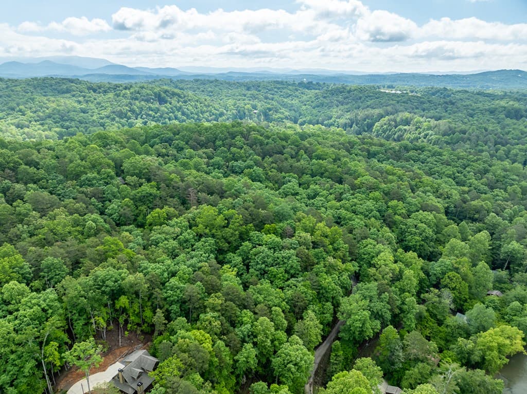 2601LT Parker Way, Ellijay GA 30540 - Photo