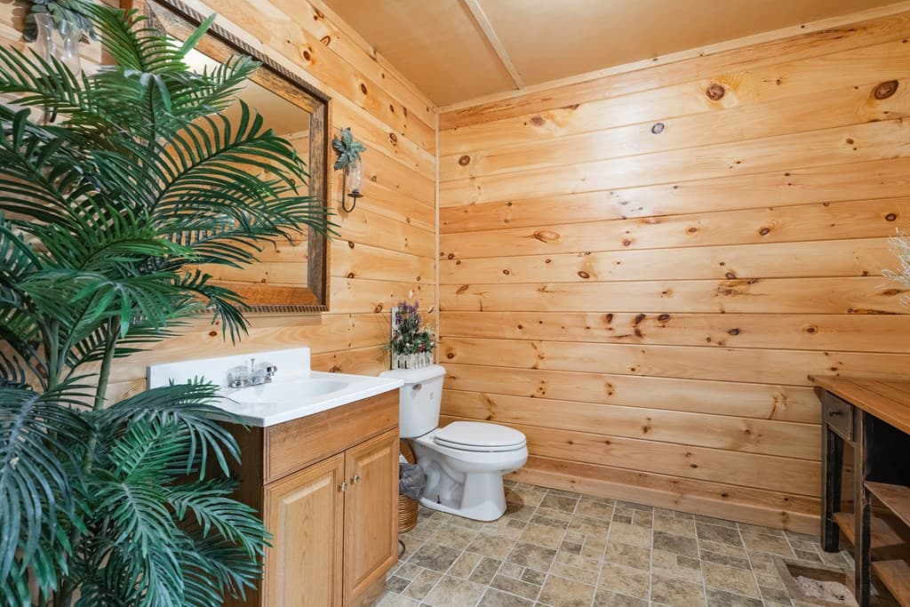 270 Stone Lane, Blue Ridge GA 30513 - Photo