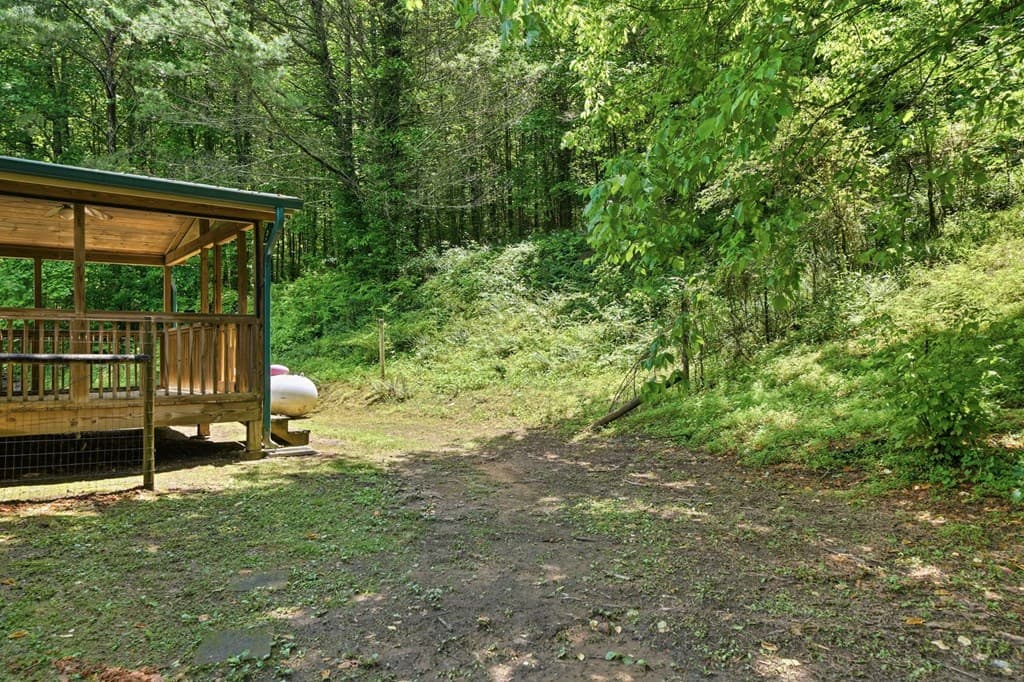 7741 Chatsworth Hwy/52w, Ellijay GA 30540 - Photo