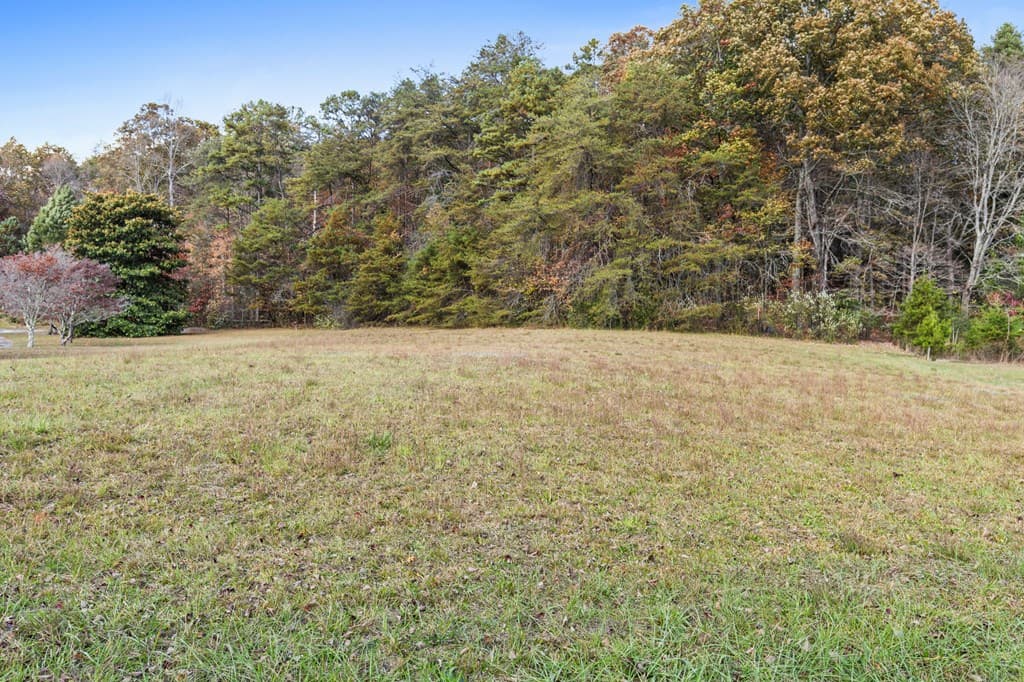 14.36 AC Night Lane, Epworth GA 30541 - Photo