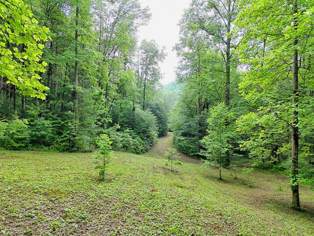 1070 Morgan Creek Road, Marble NC 28905 - Photo