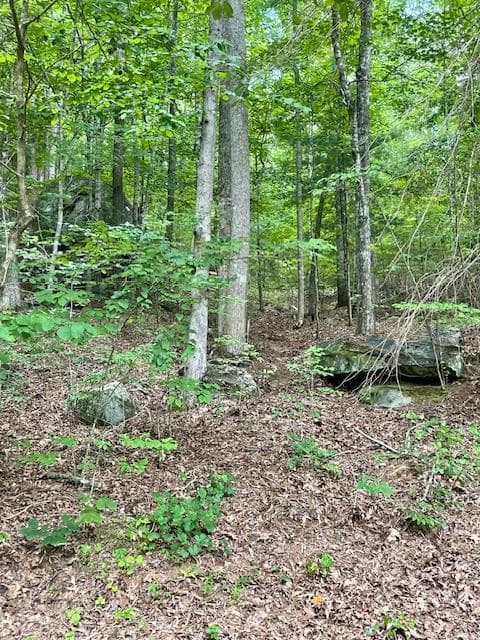 11 Lonesome Pine Road, Murphy NC 28906 - Primary photo