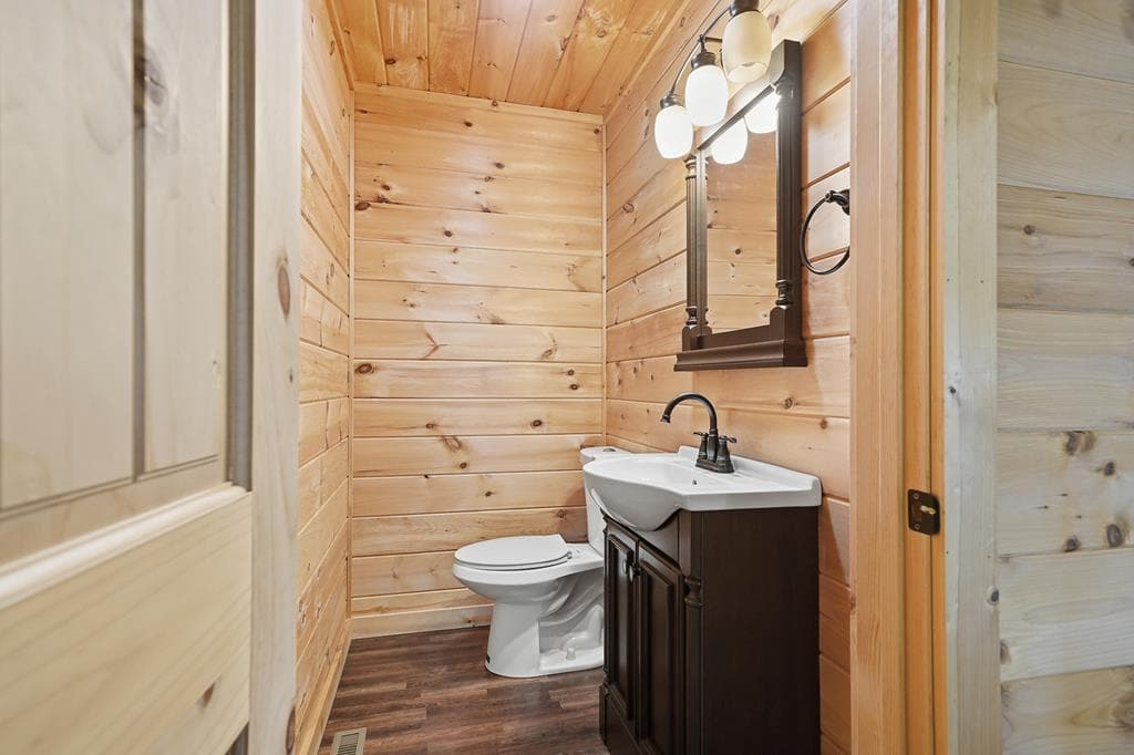 55 Hallee Drive, Mineral Bluff GA 30559 - Photo