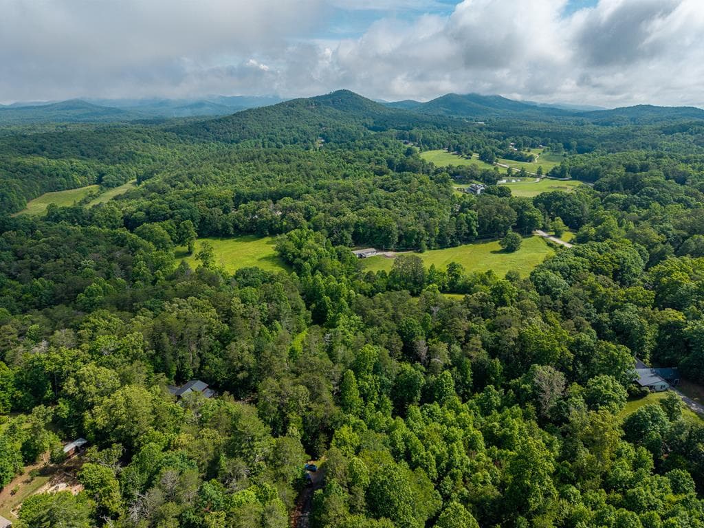 55 Hallee Drive, Mineral Bluff GA 30559 - Photo
