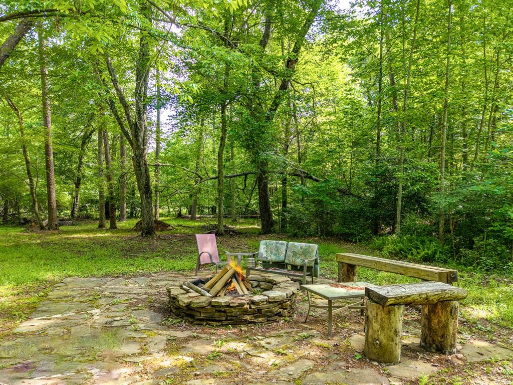 55 Hallee Drive, Mineral Bluff GA 30559 - Photo