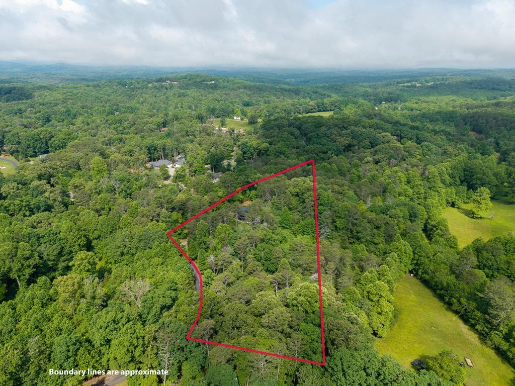55 Hallee Drive, Mineral Bluff GA 30559 - Photo