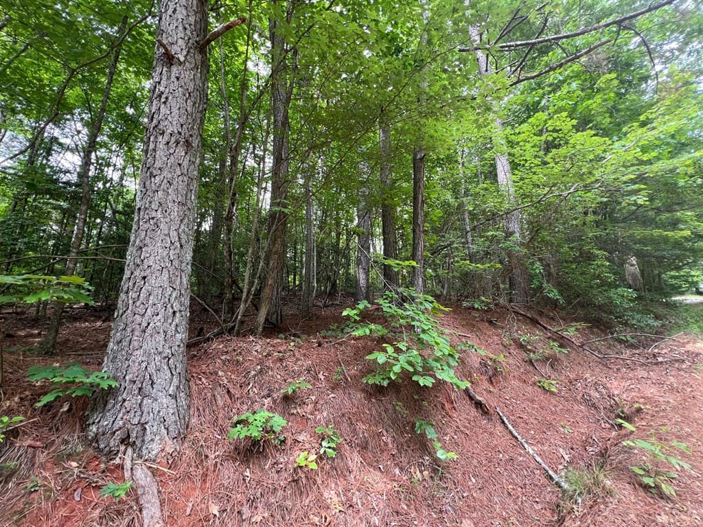 00 Mr Bert Road, Hiawassee GA 30548 - Photo