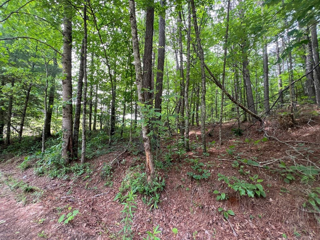 00 Mr Bert Road, Hiawassee GA 30548 - Photo